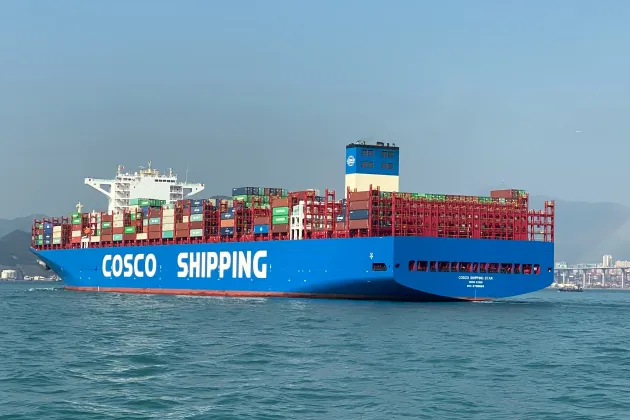 Huge shipping container. Photo.